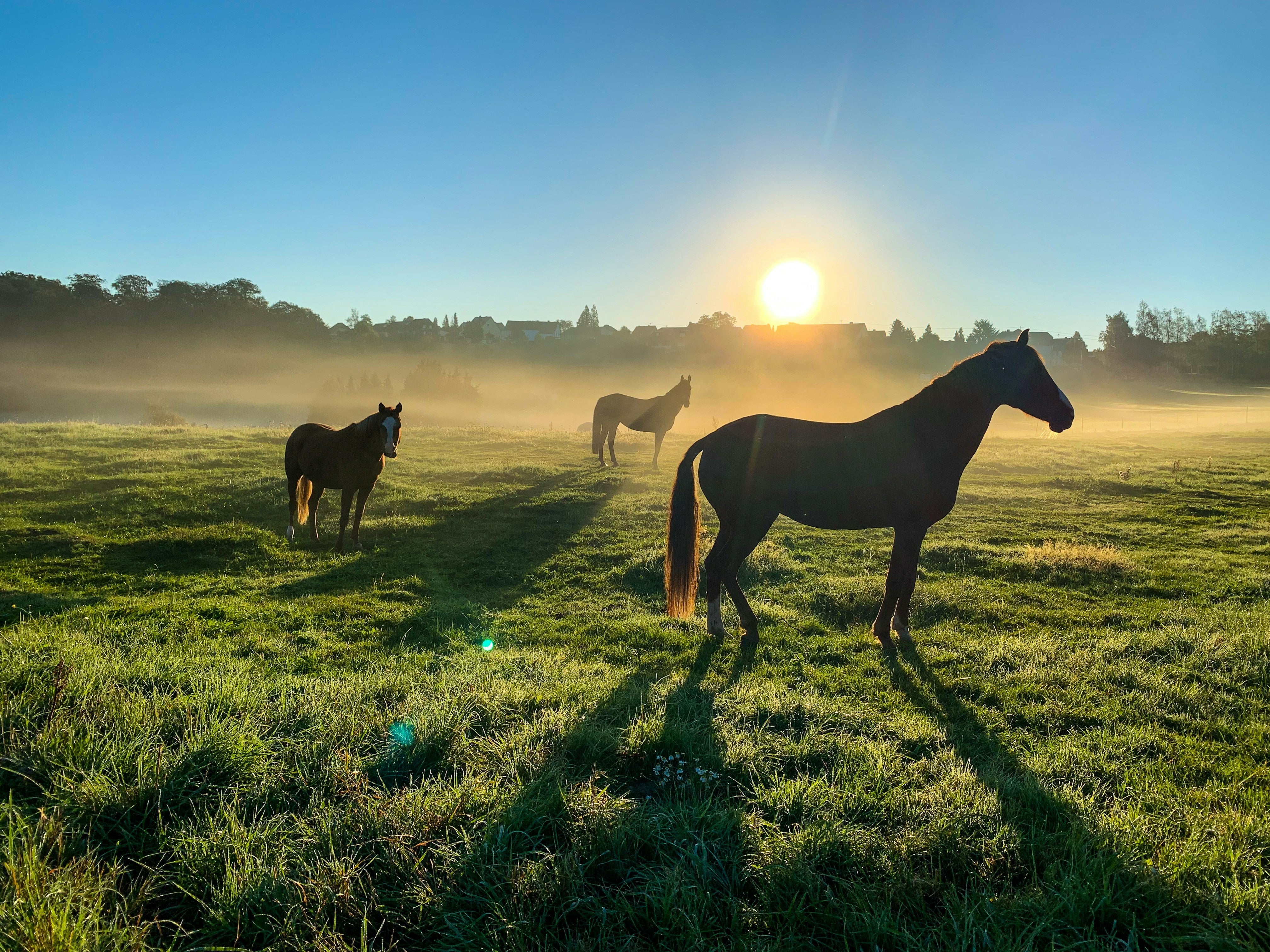 CORRECT RIDING MISTAKES