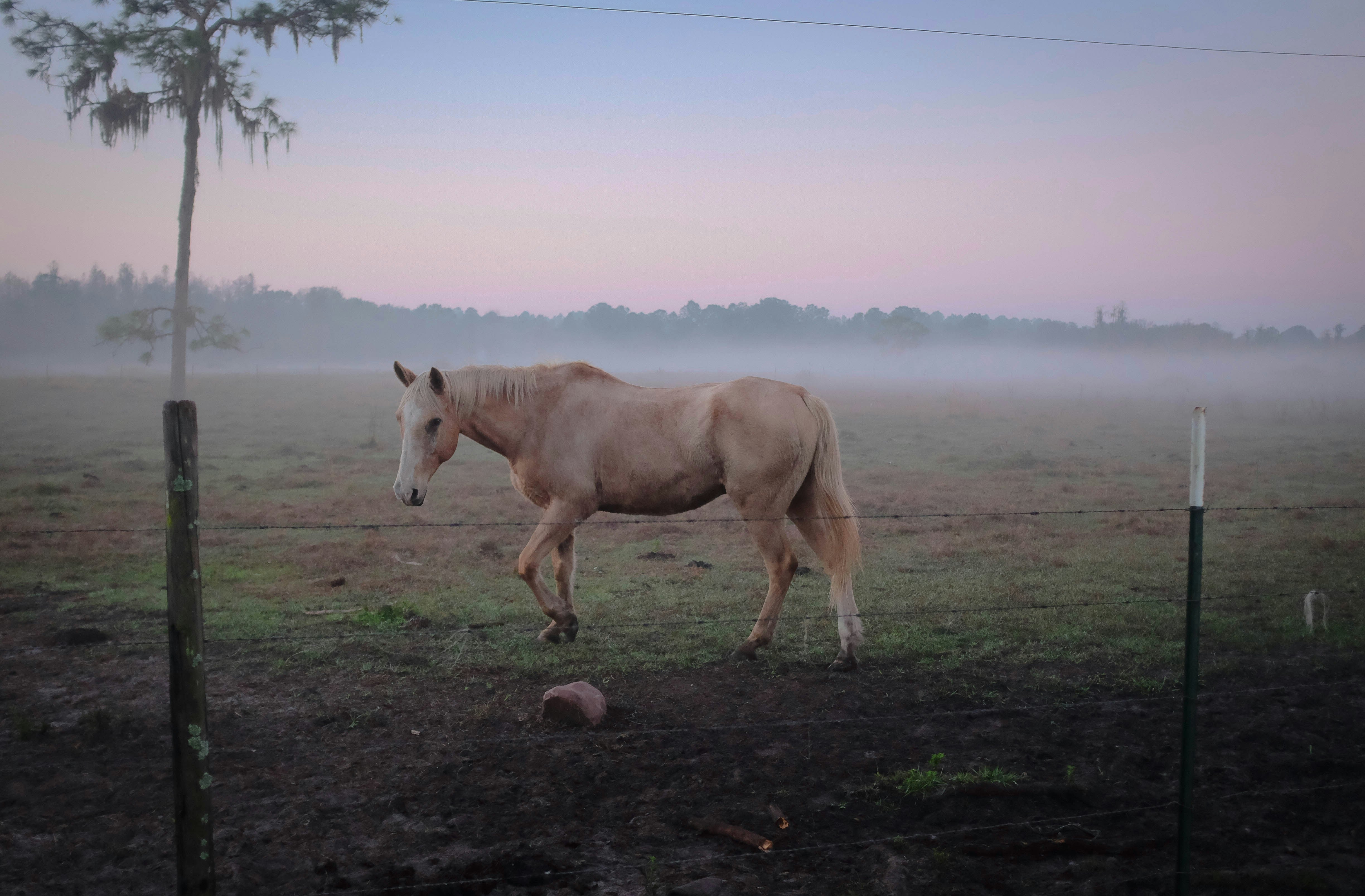 BARREL RACING MASTERY