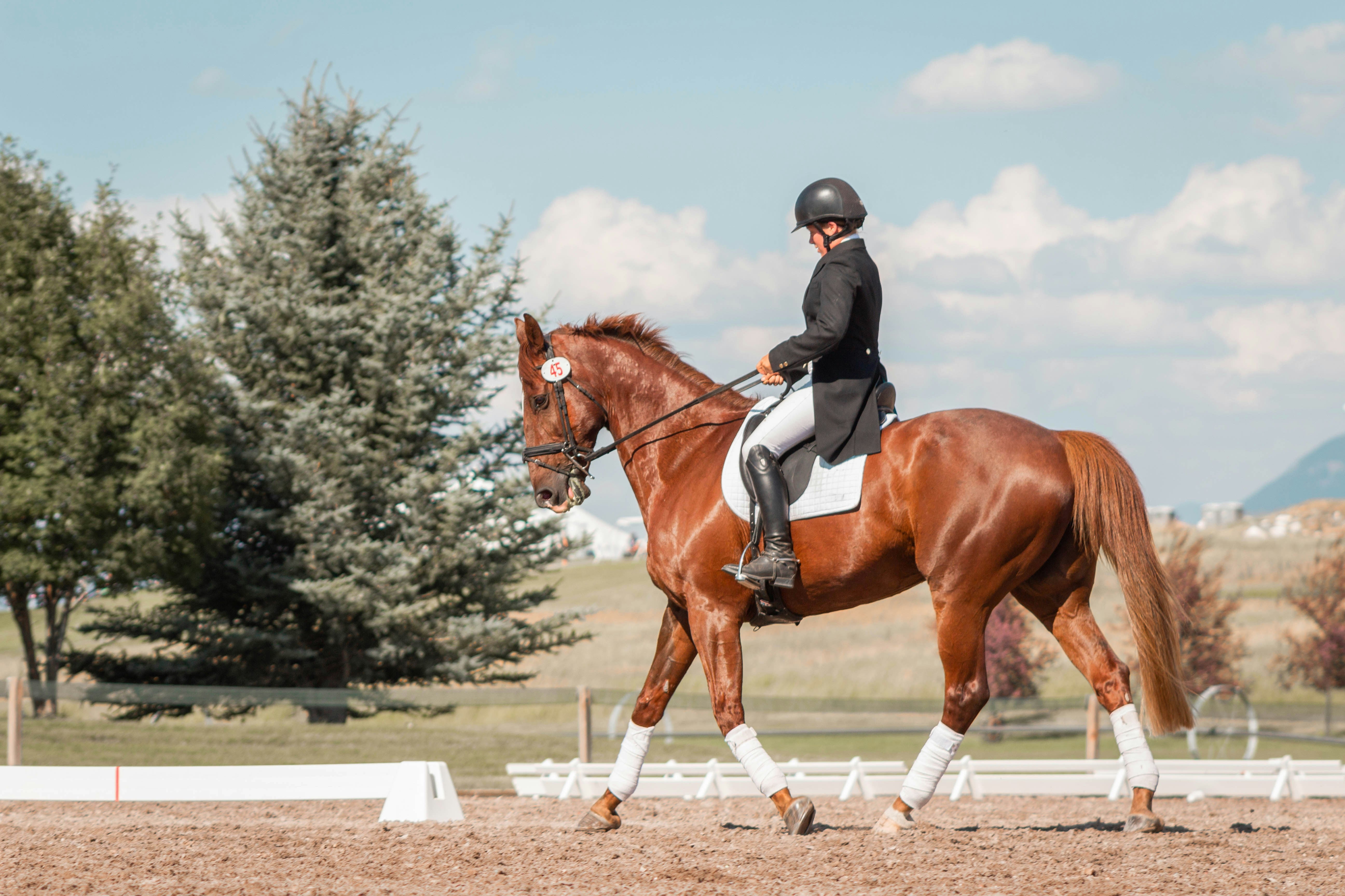 RIDING LESSONS FOR NEW RIDERS