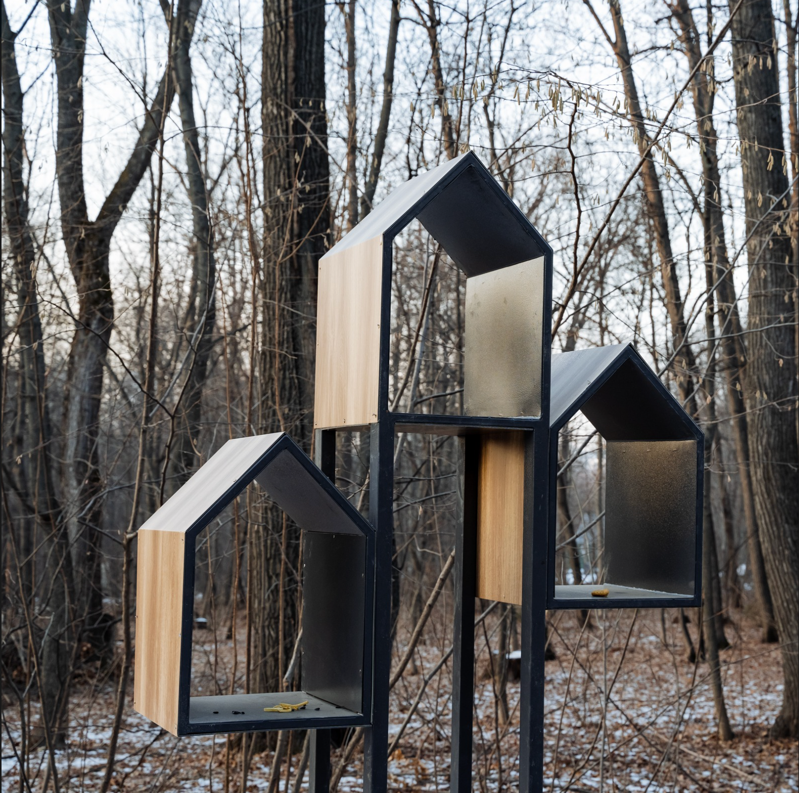 DIY BIRD PERCHES AND CLIMBING STRUCTURES