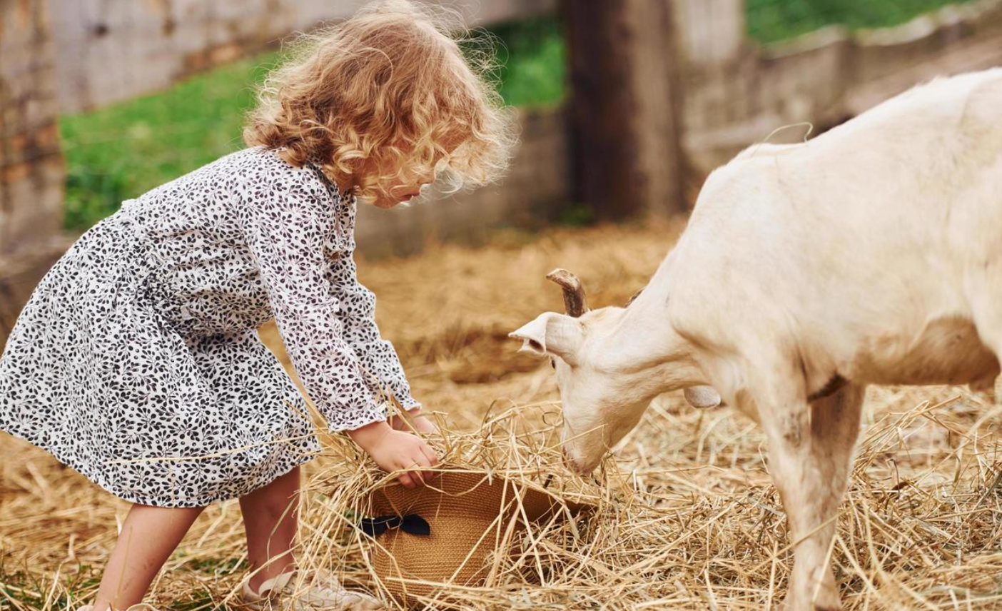 MASTERING THE ART OF FARM ANIMAL CARE