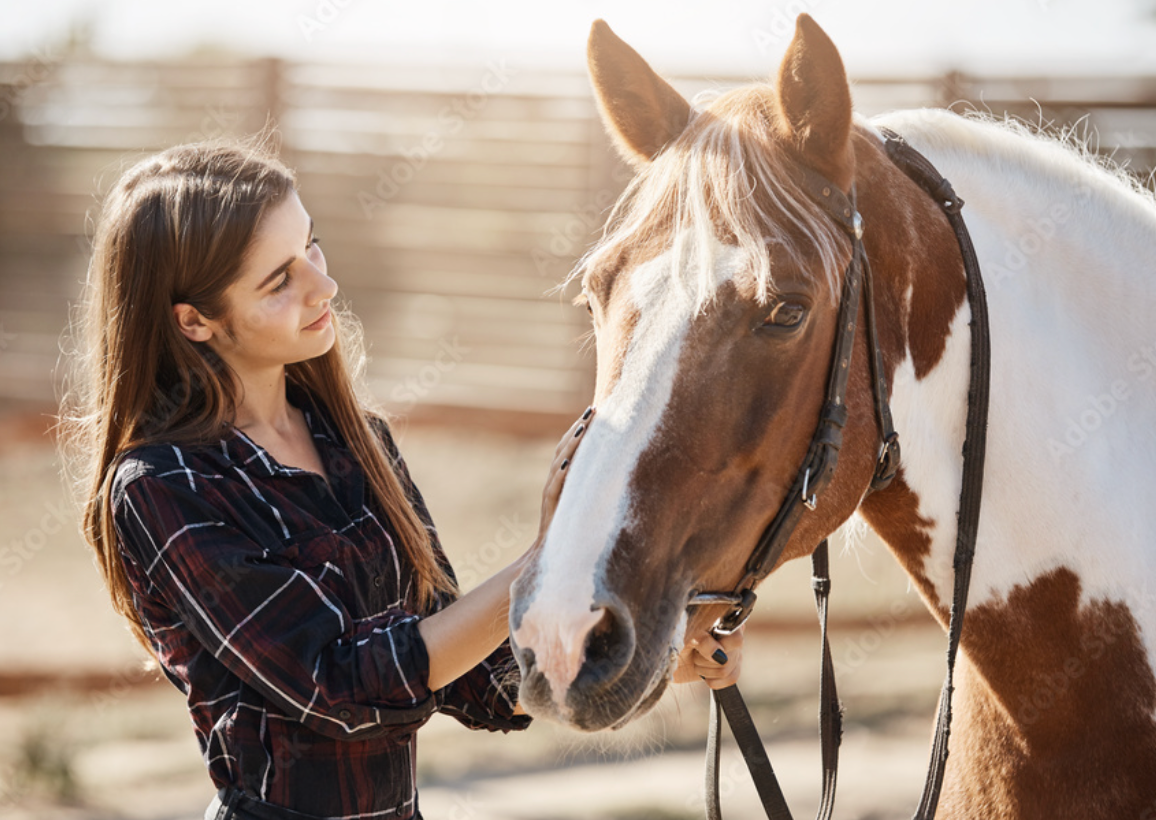 TIPS FOR CREATING A SUSTAINABLE FARM