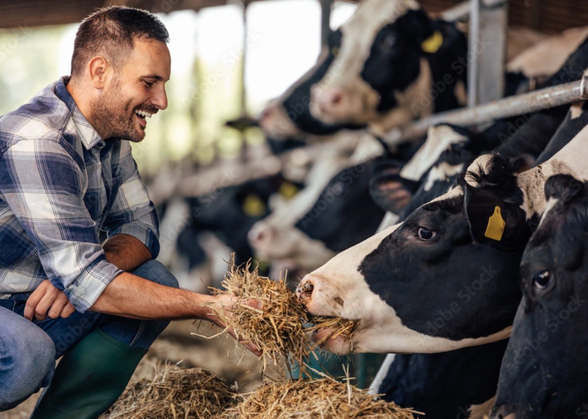 FEEDING AND NURTURING FARM ANIMALS