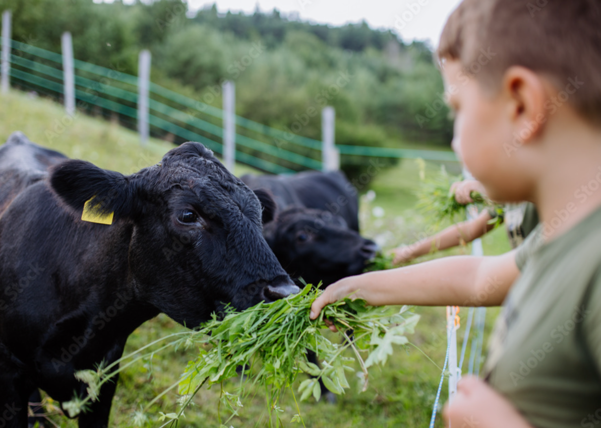 HOW TO START AND MAINTAIN A SMALL FARM