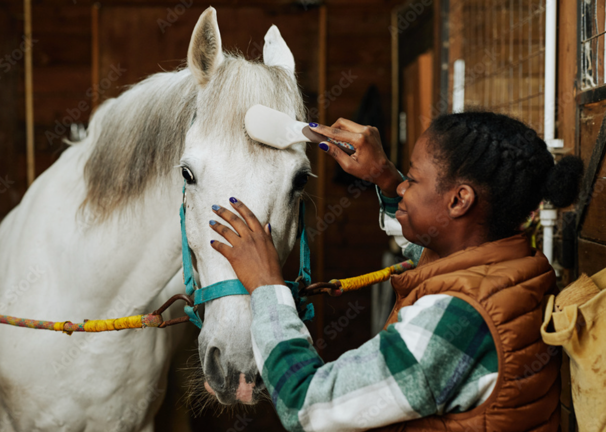 UNDERSTANDING THE NEEDS OF FARM ANIMALS