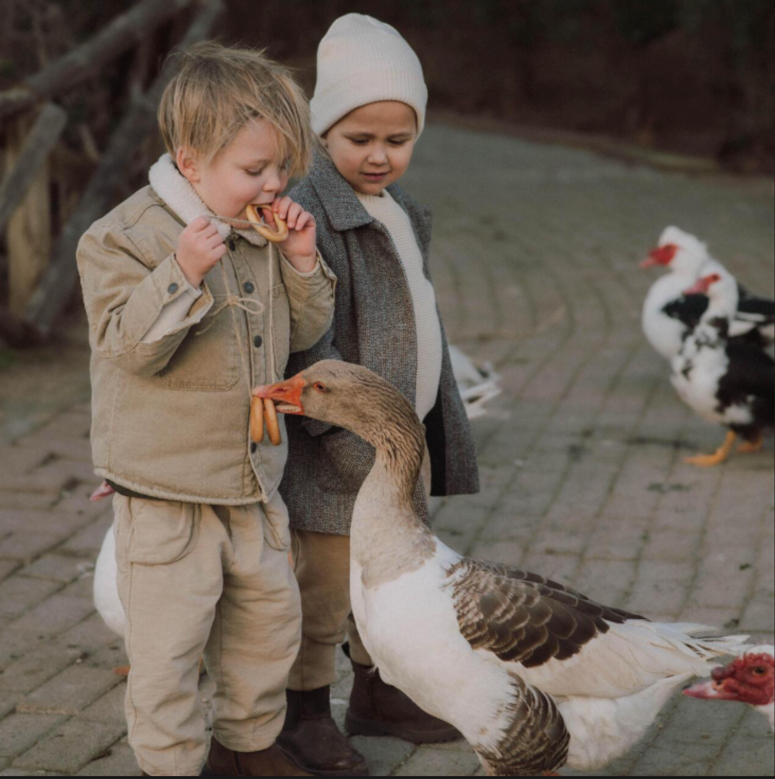 Raising Birds with Kids: A Guide