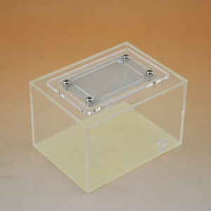 Ant castle Pet supplies small acrylic reptile box feeding box insect box insect box breeding box ant nest