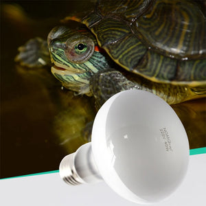 1 Pcs Reptile Heating Lamp 220V Heater Bulb UVA+UVB Turtle Lizard Reptile Pet Daylight Lamp Aquarium With Multiple Models