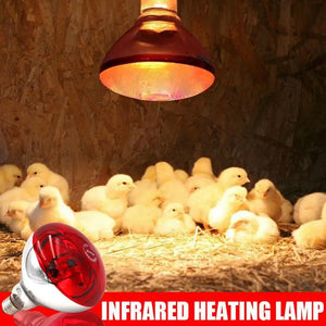 Farm Thermal Light Preservation Reptile Habitat Lights Chicken Infrared Heater Light Infrared Lamp Hatch Heating Chick Lamp