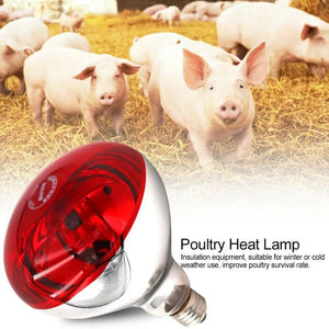 Farm Thermal Light Preservation Reptile Habitat Lights Chicken Infrared Heater Light Infrared Lamp Hatch Heating Chick Lamp