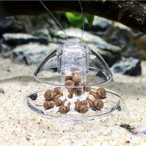 Snail Trap Catcher Aquarium Fish Plant Tank Plastic Clear Pest Catch Box Leech Environment Plants Planarian Cleaner Tools