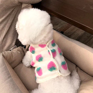 Fashion Strawberry Dog Clothes Teddy Cat Jacket Puppy Soft Clothes Pet Fall/Winter Apparel Short Coat Corgi Open Top