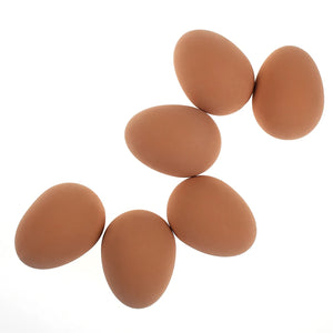 1 Pcs Novelty Bouncy Eggs Realistic Fake Rubber Bouncing BallsModel Farm Chicken Nesting Hen Hatching Egg  Pet Toy Prank Joke