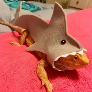 Cute Shark Shape Lizard Chameleon Shark Clothes Small Pet Clothes Gecko Costume for Bearded Dragon Reptiles Clothes Accessories