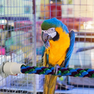 Flexible Bird Stand Toy Hanging Braided Bird Chew Rope Curved Bird Stand Perch Cage Toy Parrots Budgies Parakeets Training Toy