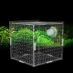 1pcs Fish Tank Transparent Aquarium Single Double Multi Grid Isolation Box Small Fry Incubator Breeding Box Aquatic Pet Supplies