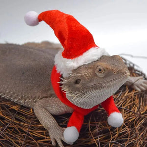 1 Set Lizard Santa Hat Reptile Hats with Scarf Holiday Dress Up Soft Christmas Lizard Santa Hat Reptile Apparel Clothes Outfits