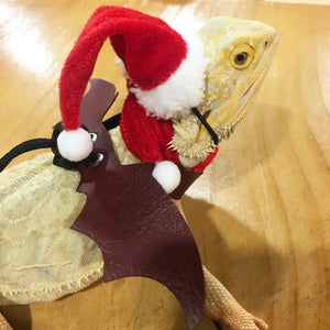 1 Set Lizard Santa Hat Reptile Hats with Scarf Holiday Dress Up Soft Christmas Lizard Santa Hat Reptile Apparel Clothes Outfits