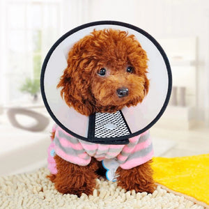 Pet Protective Collar Dog Neck Recovery Cone Collar Anti-Bite Lick Wound Healing Cat Dogs Health Training Medical Circle Tool