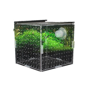 1pcs Fish Tank Transparent Aquarium Single Double Multi Grid Isolation Box Small Fry Incubator Breeding Box Aquatic Pet Supplies