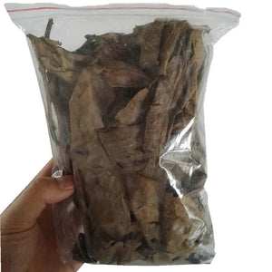 Fish Tank Natural Catappa Leaves Aquarium Terminalia Foetida Leaves Fish Water Quality Stabilizer For Tropical Fish Treatment