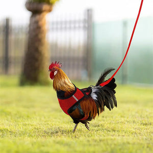 Adjustable Chicken Harness Hen Matching Leash Resilient And Comfortable Chest Strap Breathable Vest For Chicken Duck Dog Cat