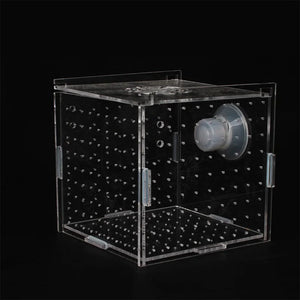 1pcs Fish Tank Transparent Aquarium Single Double Multi Grid Isolation Box Small Fry Incubator Breeding Box Aquatic Pet Supplies