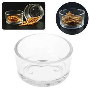 New New Reptile Feeder Water Food Glass Bowl Cup Lizard Turtle Cricket Basin Feeding