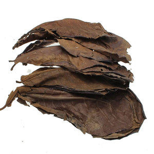 Fish Tank Natural Catappa Leaves Aquarium Terminalia Foetida Leaves Fish Water Quality Stabilizer For Tropical Fish Treatment