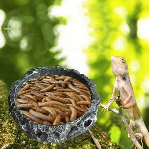 11XA Reptile Bowls Terrarium Feeding Worm Dish Reptile Mealworm Feeder Dish Resin Bowl for frog Gecko Snake Spiders Turtles