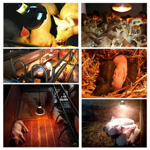 Farm Thermal Light Preservation Reptile Habitat Lights Chicken Infrared Heater Light Infrared Lamp Hatch Heating Chick Lamp