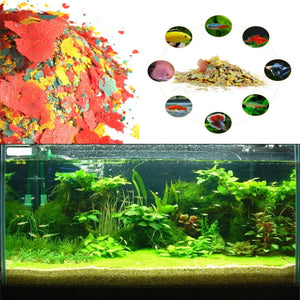 1pc Highly Nutritious Fish Feed Aquarium Goldfish Tropical Fishes Fast Grow Nutrition Food Aquatic Pet Supplies