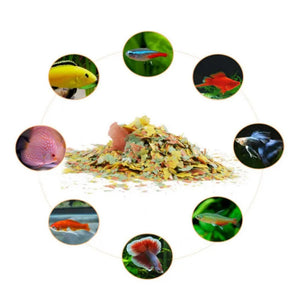 1pc Highly Nutritious Fish Feed Aquarium Goldfish Tropical Fishes Fast Grow Nutrition Food Aquatic Pet Supplies