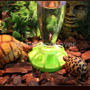 Reptile Water Drinker Dispenser Food Bowl Lizard Feeder Round Dish Turtle Water Bowl