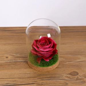 2Pcs 12x12cm Glass Dome Cover Cloche Bell Jar Succulents Terrariums with Wood Cork Wedding Parties Decorations Miniatures Craft