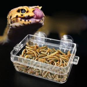 Suction Cup Reptile Feeder Anti-Escape Reptiles Water Bowl Worm Live Fodder Container for Gecko Snakes Chameleon Iguanas