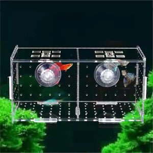 Aquarium Isolation Box Fish Tank Small Fry Breeding Box Transparent Acrylic Single Grid Double Grid Aquarium Supplies