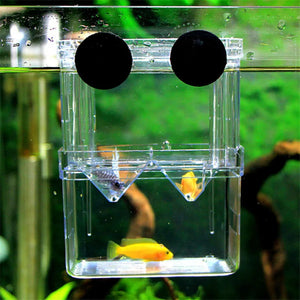 Aquarium Breeder Box Breeding Incubator Small Fish Hatchery Acrylic Divider for Shrimp Clownfish Aggressive Fish Injured Fish