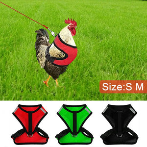 Adjustable Chicken Harness Hen Matching Leash Resilient And Comfortable Chest Strap Breathable Vest For Chicken Duck Dog Cat