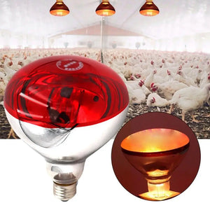 Farm Thermal Light Preservation Reptile Habitat Lights Chicken Infrared Heater Light Infrared Lamp Hatch Heating Chick Lamp