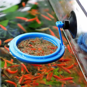 Aquarium Fish Portable Feeding Fish Accessories Feeder Station Floating Square Circle with Suction Cup Easy to feed Accessories