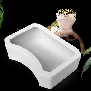 P82C Reptile Feeder Water Food Feeding Plastic Bowl 3 Size Turtle Lizard Snake Basin