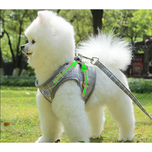 YUDODO Nylon Mesh Harness For Animals Reflective Dogs Harness Leash Set Dogs Vest Harness Leads Pet Clothes For Small Dogs