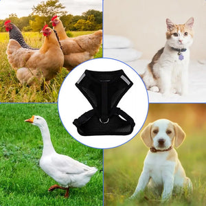 Adjustable Chicken Harness Hen Matching Leash Resilient And Comfortable Chest Strap Breathable Vest For Chicken Duck Dog Cat