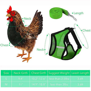 Adjustable Chicken Harness Hen Matching Leash Resilient And Comfortable Chest Strap Breathable Vest For Chicken Duck Dog Cat