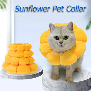 Cat Recovery Collar New Pet Cat Dogs Health Recovery Cotton Filling Collar Protective Medical Cone E- Collar for Dog and Cat