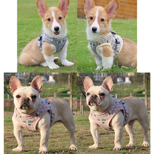 YUDODO Nylon Mesh Harness For Animals Reflective Dogs Harness Leash Set Dogs Vest Harness Leads Pet Clothes For Small Dogs