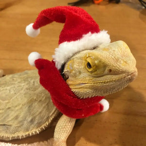 1 Set Lizard Santa Hat Reptile Hats with Scarf Holiday Dress Up Soft Christmas Lizard Santa Hat Reptile Apparel Clothes Outfits