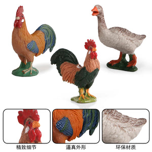 Simulation Farm Poultry Animal model Chicken Fowl Duck Goose Rooster Action figures plastic Figurines Farm series Kids Toys