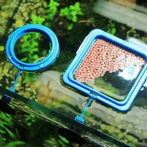 Aquarium Fish Portable Feeding Fish Accessories Feeder Station Floating Square Circle with Suction Cup Easy to feed Accessories